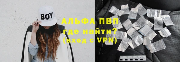 мяу мяу мука Белокуриха