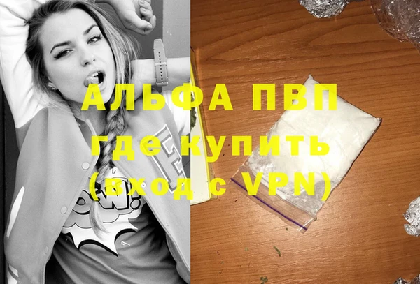 мяу мяу мука Белокуриха