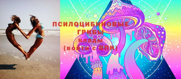 мяу мяу мука Белокуриха