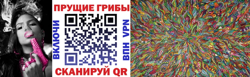 Галлюциногенные грибы прущие грибы  Елизаветинская 